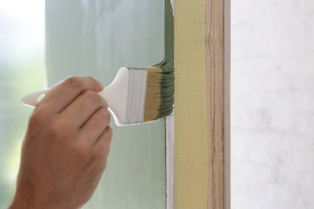 Professional Mold Removal in Dyer, TN