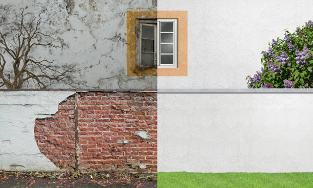 Best Commercial Mold Inspection  in Dyer, TN